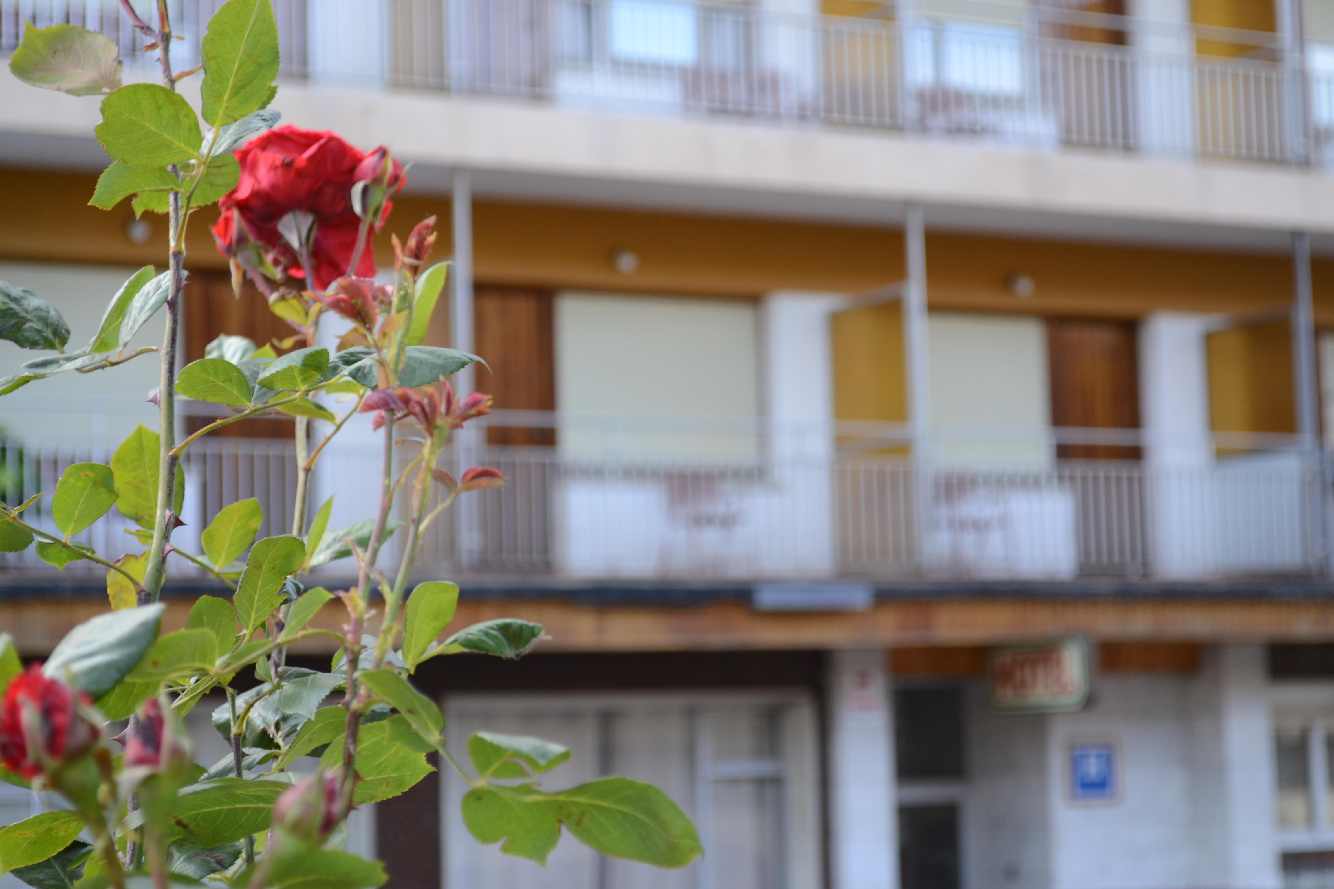 Hotel Mi Casa Sabiñánigo 외부 사진